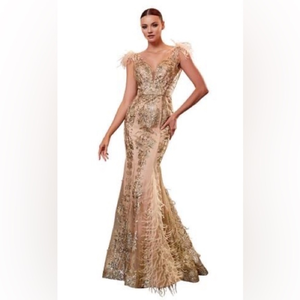 Cinderella Divine prom dress